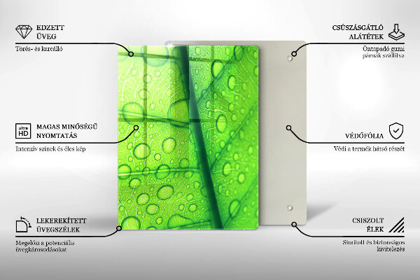 Placă protecție plita Prim-plan al unei frunze