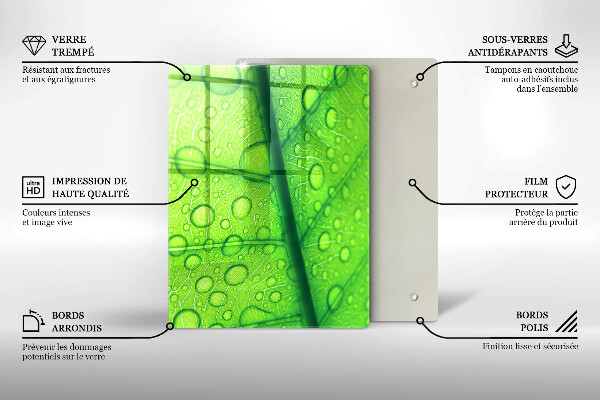 Placă protecție plita Prim-plan al unei frunze