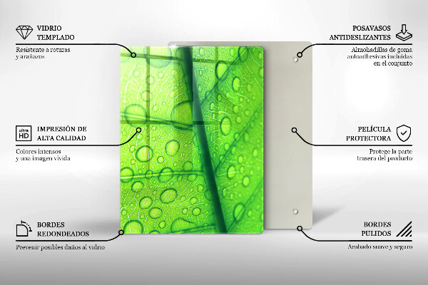 Placă protecție plita Prim-plan al unei frunze