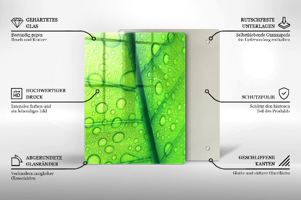 Placă protecție plita Prim-plan al unei frunze