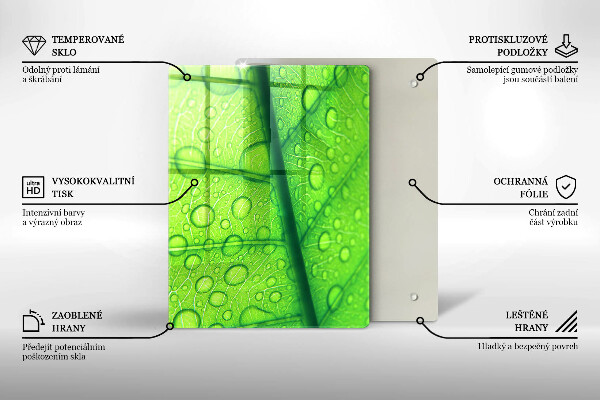 Placă protecție plita Prim-plan al unei frunze
