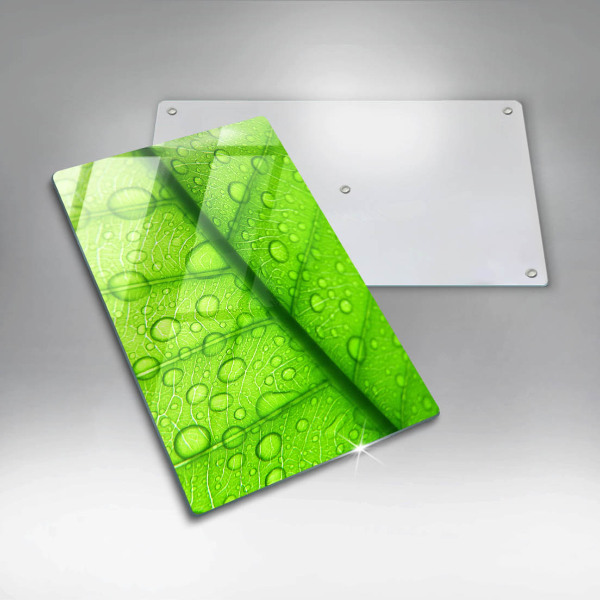 Placă protecție plita Prim-plan al unei frunze