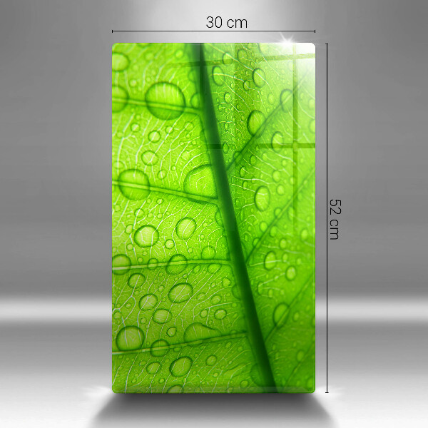 Placă protecție plita Prim-plan al unei frunze