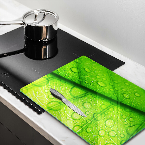 Placă protecție plita Prim-plan al unei frunze