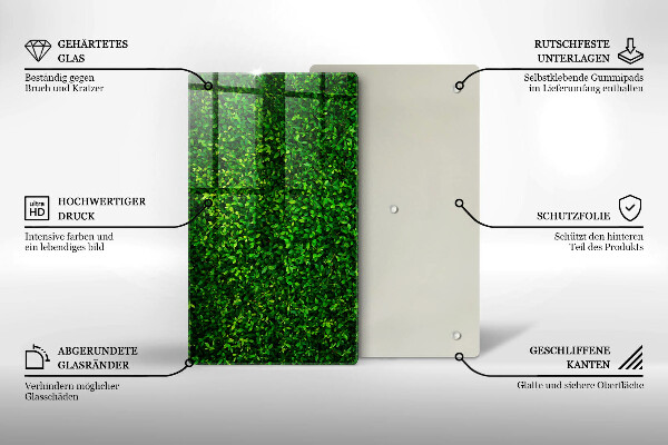 Placă din sticla protectie perete Planta cu frunze mici