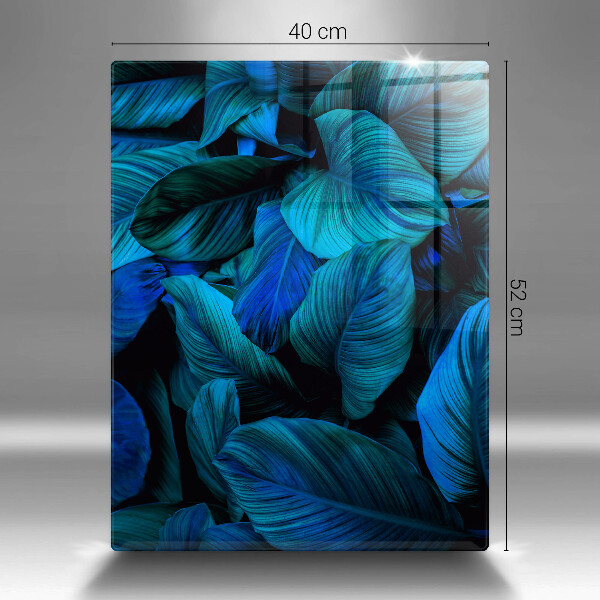 Placă din sticla protectie perete Frunzele vegetației junglei