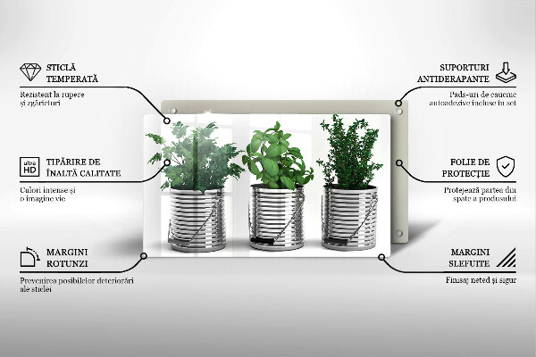 Placă sticla protectie aragaz Ghivece cu plante medicinale