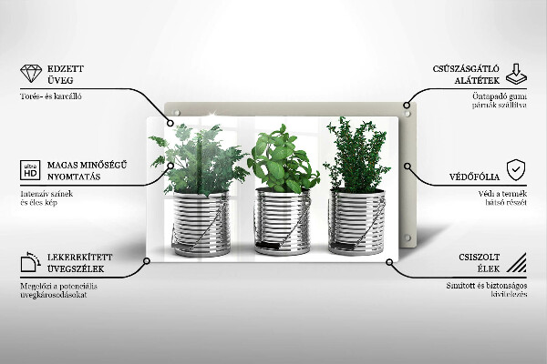 Placă sticla protectie aragaz Ghivece cu plante medicinale