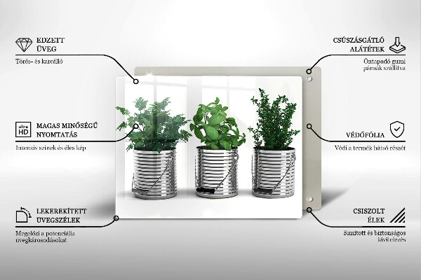 Placă sticla protectie aragaz Ghivece cu plante medicinale