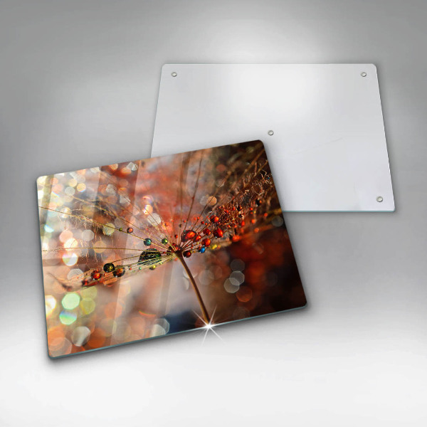 Placă sticla protectie aragaz Păpădie umedă