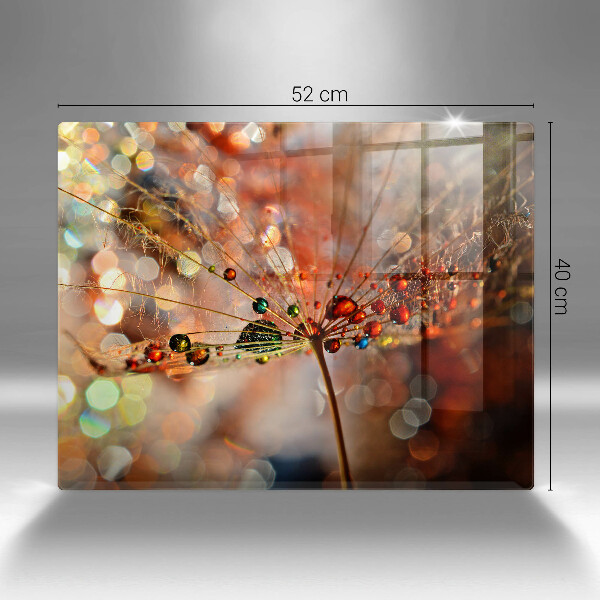 Placă sticla protectie aragaz Păpădie umedă