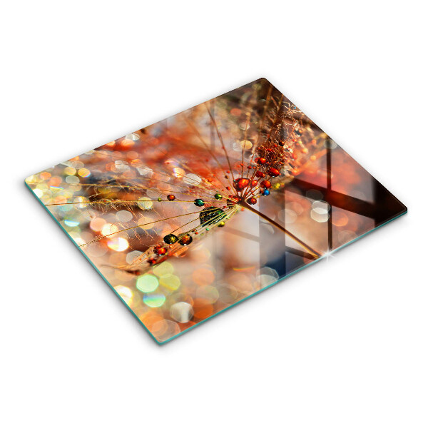 Placă sticla protectie aragaz Păpădie umedă