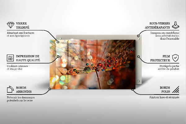 Placă sticla protectie aragaz Păpădie umedă