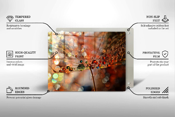 Placă sticla protectie aragaz Păpădie umedă