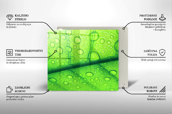 Placă protecție plita Prim-plan al unei frunze