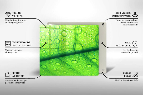 Placă protecție plita Prim-plan al unei frunze