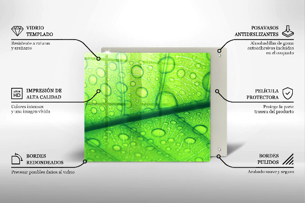Placă protecție plita Prim-plan al unei frunze