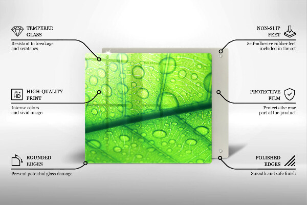 Placă protecție plita Prim-plan al unei frunze