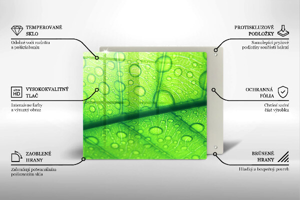 Placă protecție plita Prim-plan al unei frunze