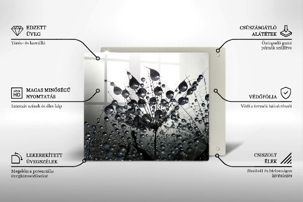 Placă protecție plita Păpădie și rouă