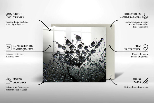 Placă protecție plita Păpădie și rouă