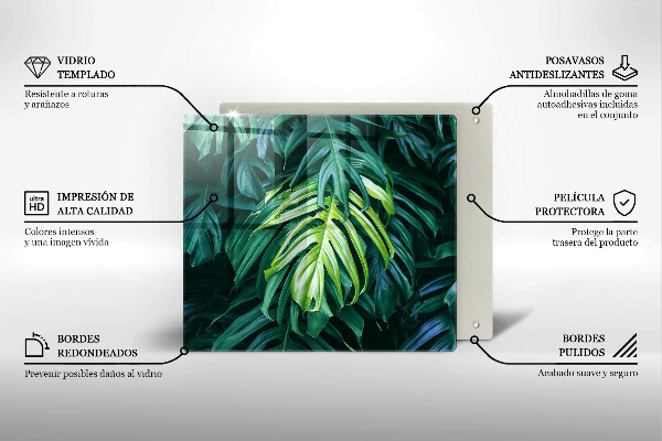 Placă protecție plita Frunze de monstera sălbatică