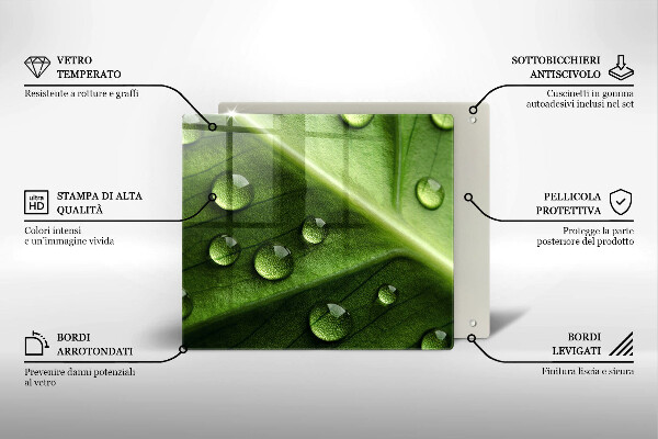Placă protecție plita Natură rouă și frunze