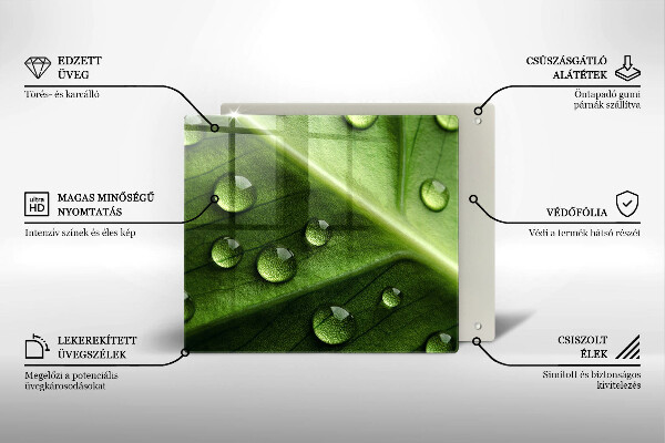 Placă protecție plita Natură rouă și frunze