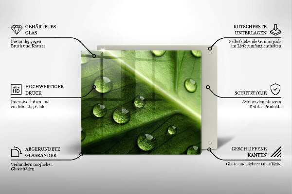 Placă protecție plita Natură rouă și frunze