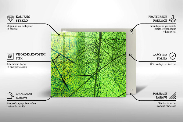 Placă protecție plita Venele frunzelor naturii