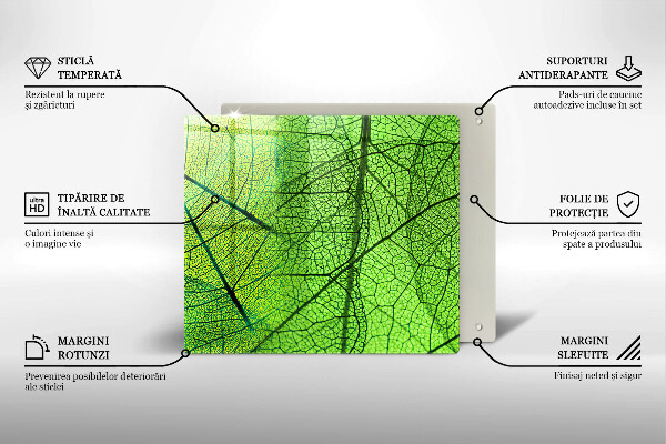 Placă protecție plita Venele frunzelor naturii