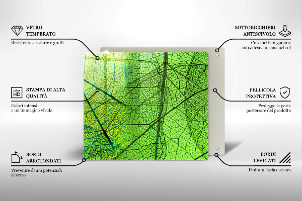 Placă protecție plita Venele frunzelor naturii