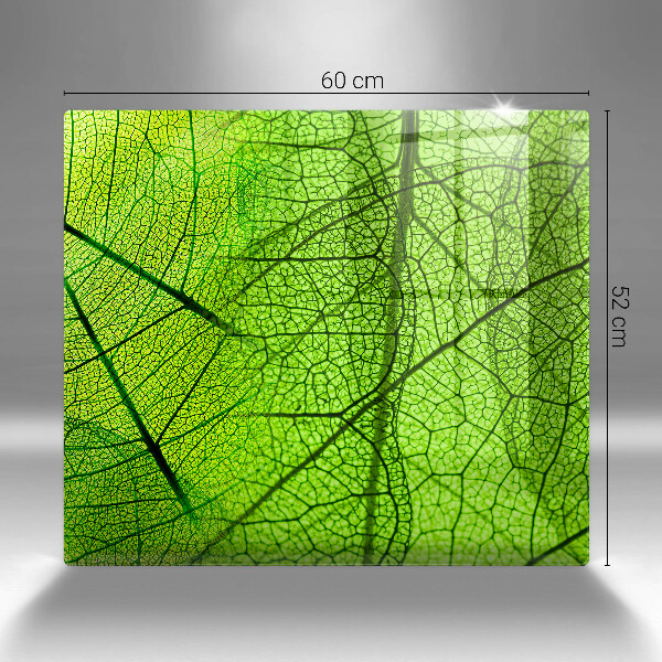 Placă protecție plita Venele frunzelor naturii