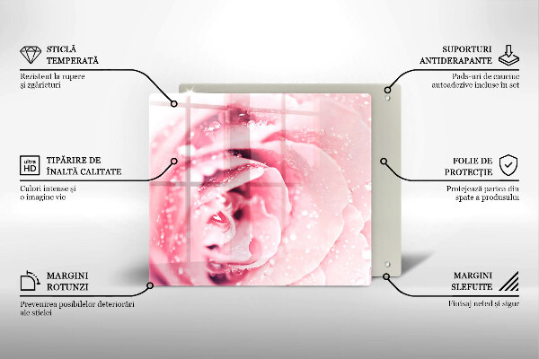 Placă sticla protectie aragaz Picături de rouă și floare de trandafir