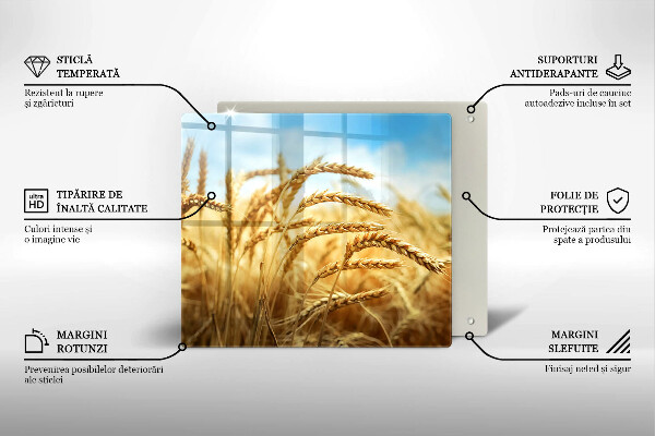 Placă sticla protectie aragaz Spice de cereale în câmp