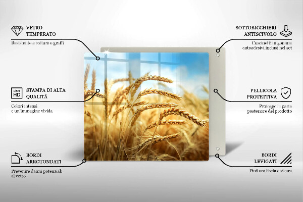 Placă sticla protectie aragaz Spice de cereale în câmp