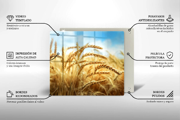 Placă sticla protectie aragaz Spice de cereale în câmp