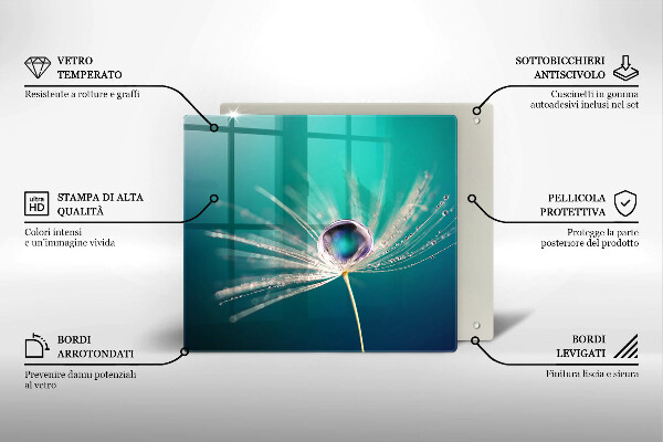Placă sticla protectie aragaz Rouă pe o păpădie