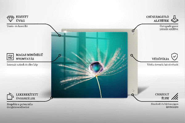 Placă sticla protectie aragaz Rouă pe o păpădie