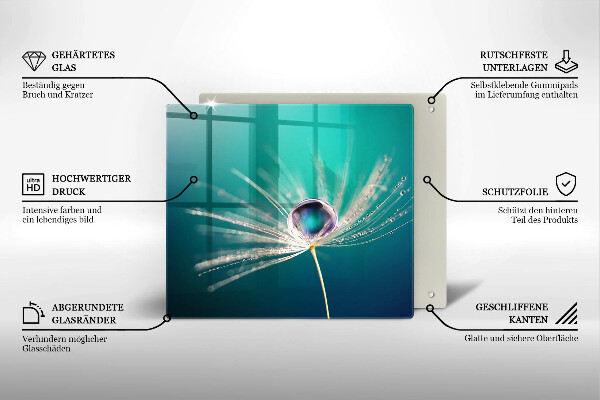 Placă sticla protectie aragaz Rouă pe o păpădie