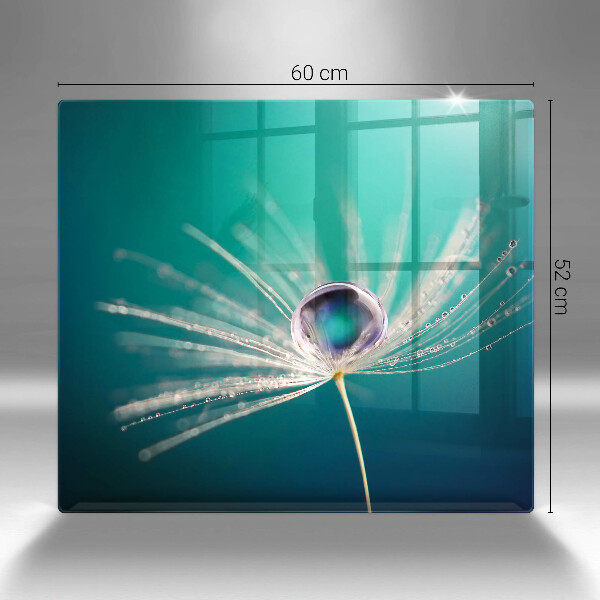 Placă sticla protectie aragaz Rouă pe o păpădie