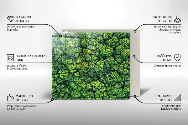 Placă protecție plita Plantă de muşchi din natură