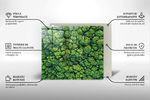 Placă protecție plita Plantă de muşchi din natură