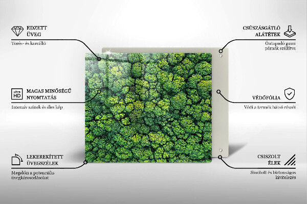 Placă protecție plita Plantă de muşchi din natură