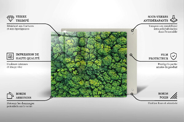 Placă protecție plita Plantă de muşchi din natură