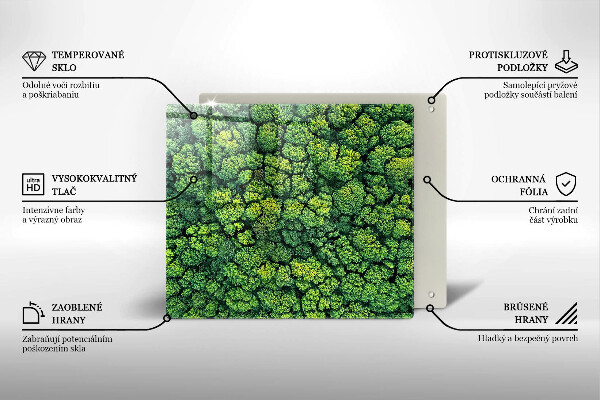 Placă protecție plita Plantă de muşchi din natură