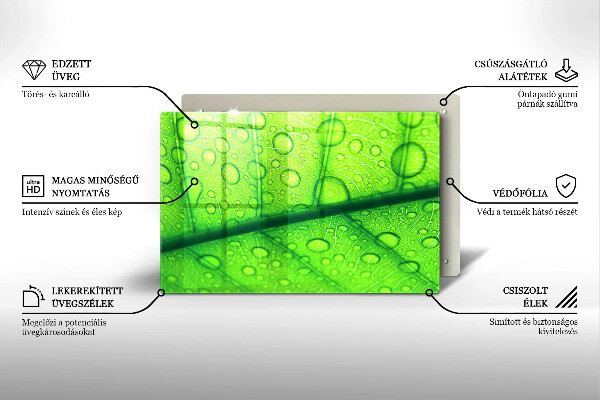 Placă sticla protectie aragaz Prim-plan al unei frunze