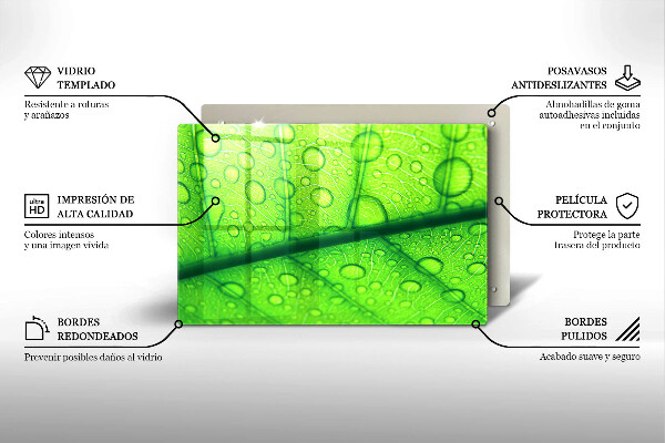 Placă sticla protectie aragaz Prim-plan al unei frunze