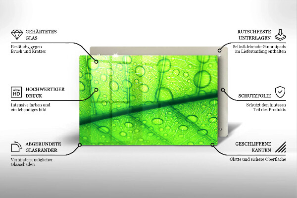 Placă sticla protectie aragaz Prim-plan al unei frunze