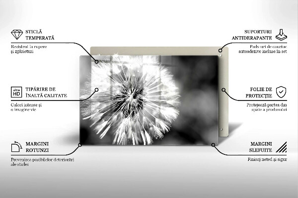 Placă sticla protectie aragaz O păpădie delicată